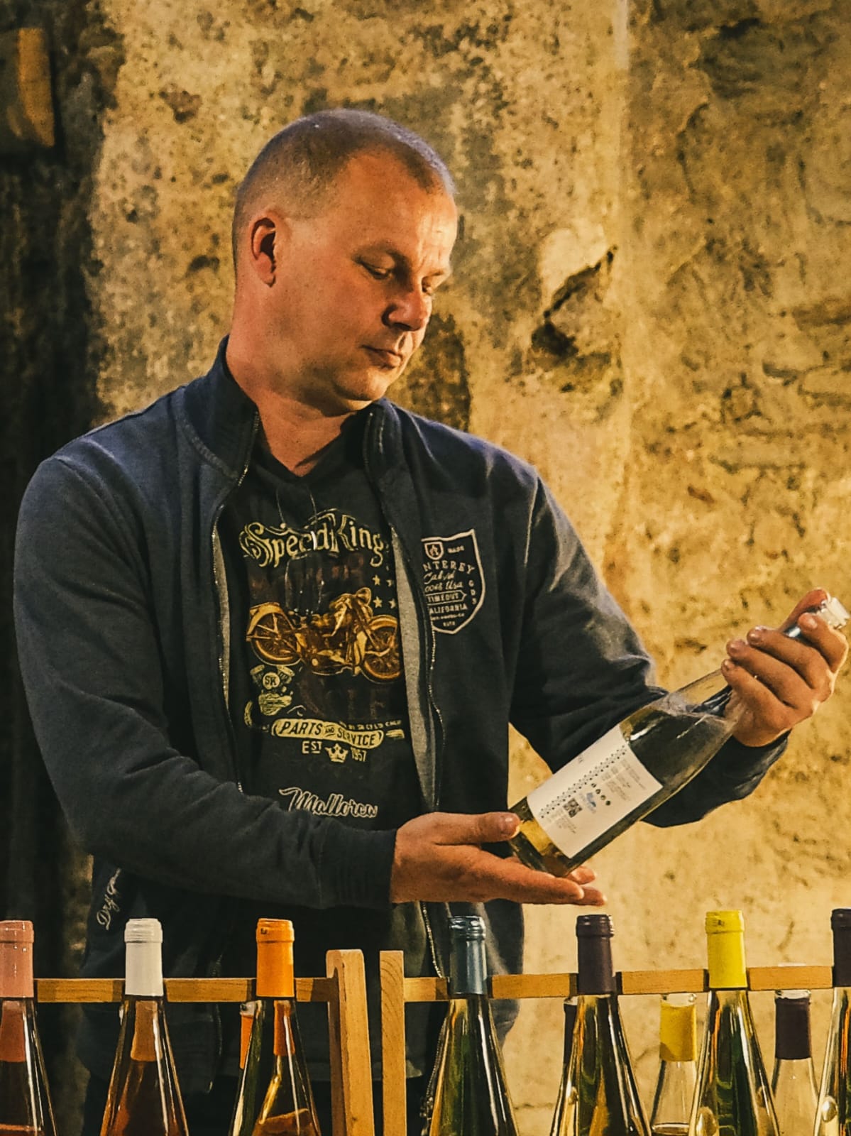 vinofrno_galeria